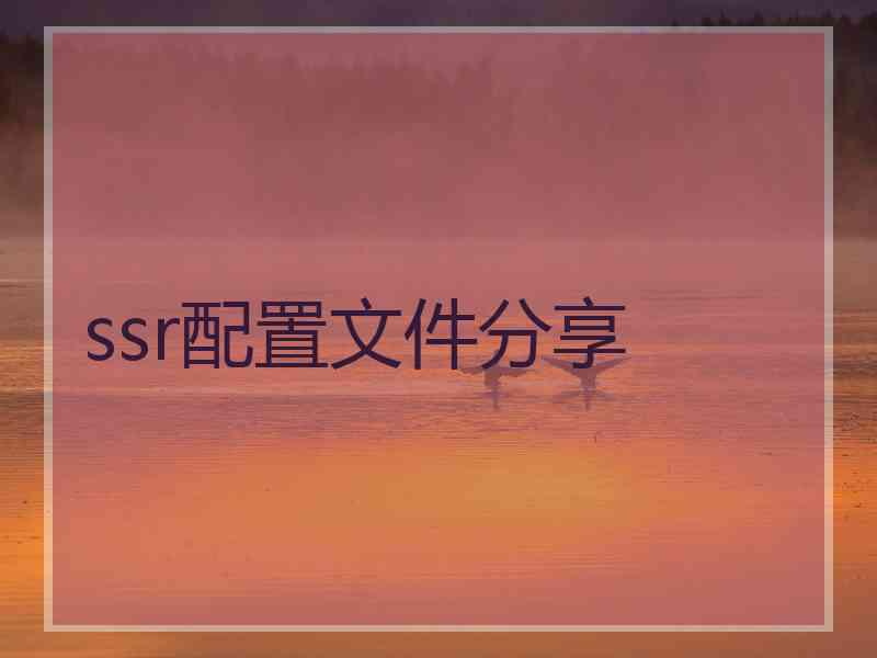 ssr配置文件分享