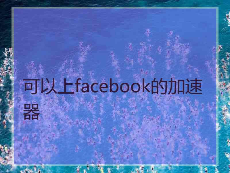 可以上facebook的加速器